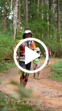 BIB:  <button type="button" onclick="openModal(26816691)" class="btn btn-primary btn-sm float-right" data-toggle="modal" data-target=".modal-high-quality">
                <i class="fa fa-download"></i> Download
                </button>